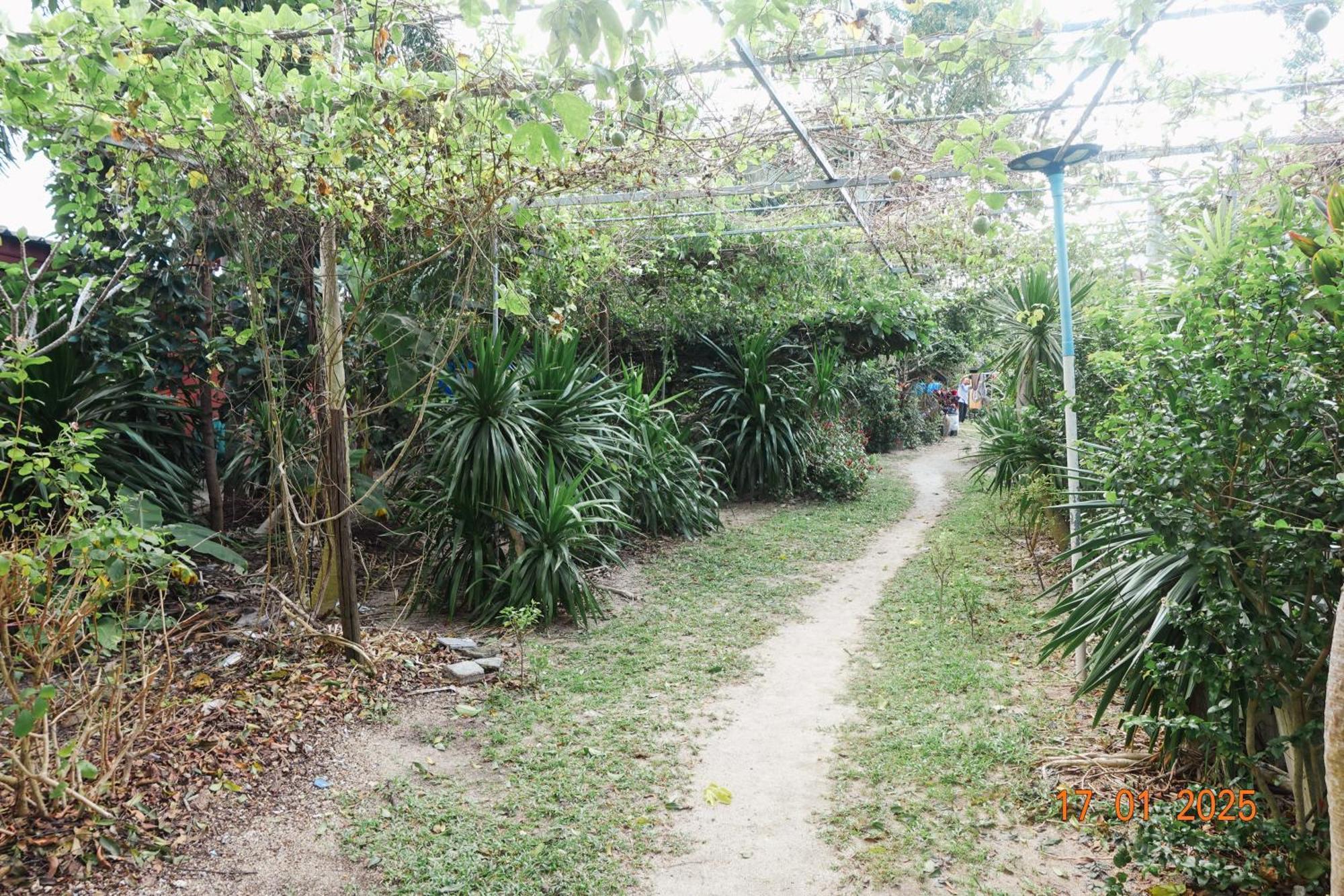 Subsavet Village Koh Phangan Exteriör bild