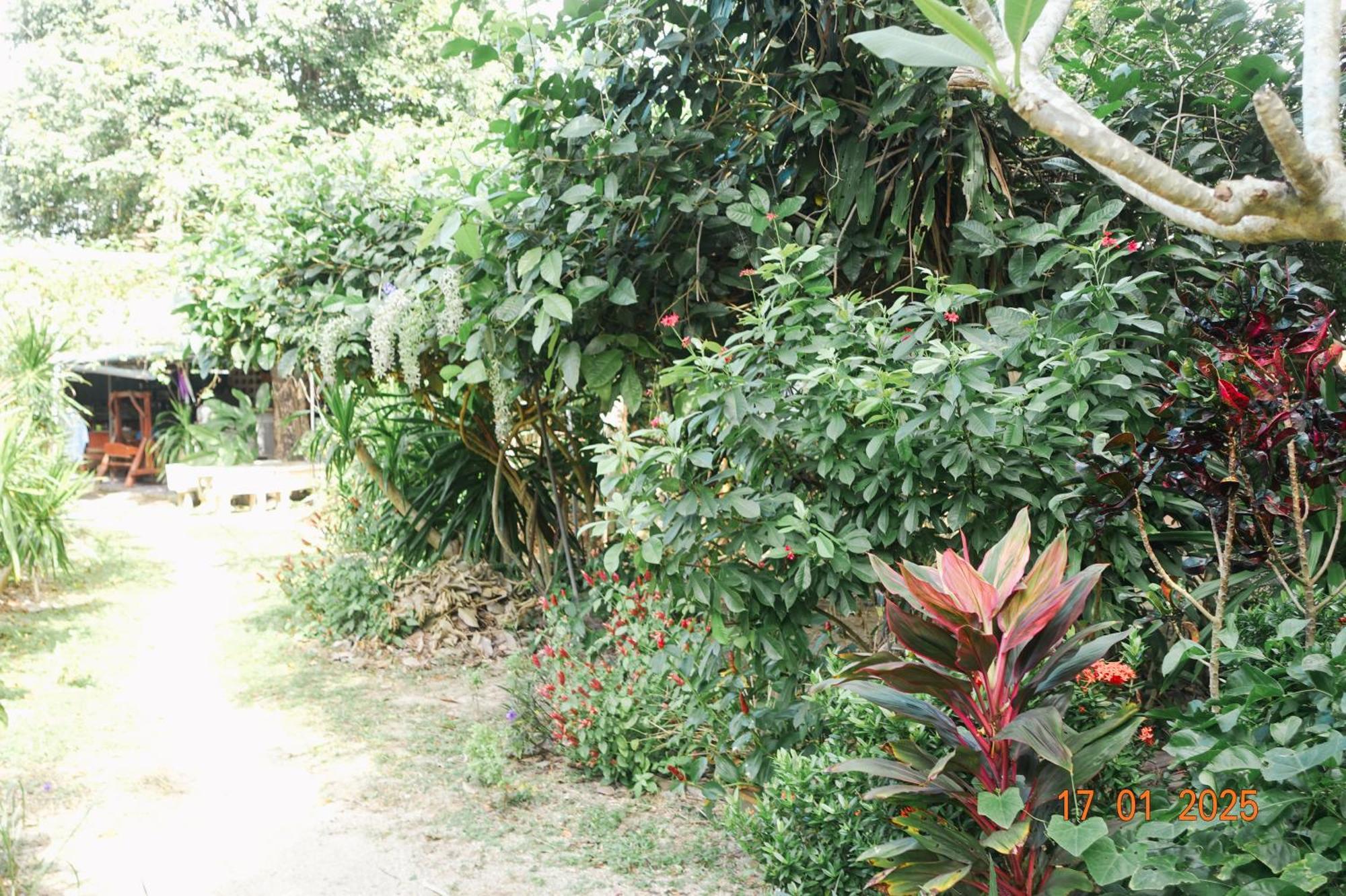 Subsavet Village Koh Phangan Exteriör bild